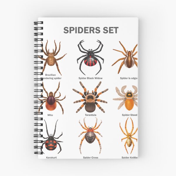 Item preview, Educational Spiders Identification Chart Insects Funny  designed and sold by VISIONSTURME.