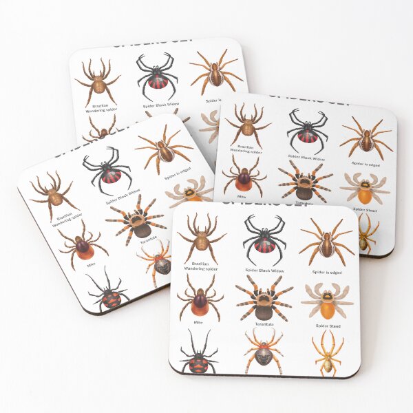 Item preview, Educational Spiders Identification Chart Insects Funny  designed and sold by VISIONSTURME.