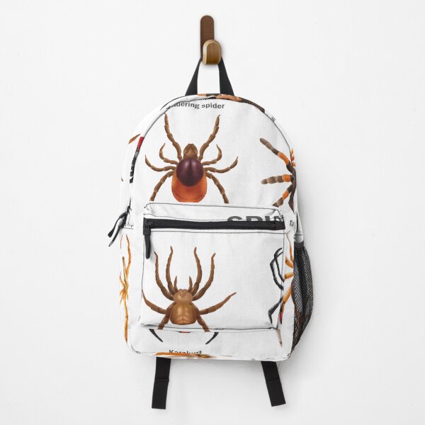 Item preview, Educational Spiders Identification Chart Insects Funny  designed and sold by VISIONSTURME.