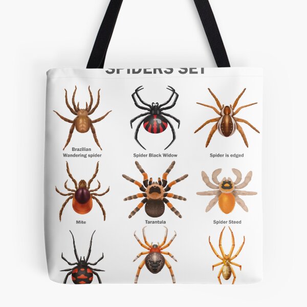 Item preview, Educational Spiders Identification Chart Insects Funny  designed and sold by VISIONSTURME.