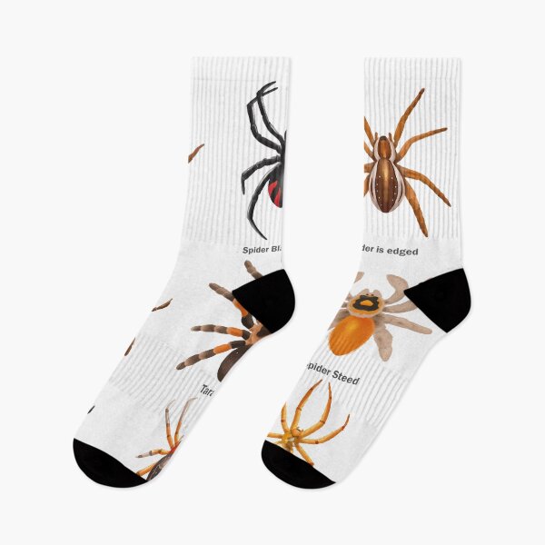 Item preview, Educational Spiders Identification Chart Insects Funny  designed and sold by VISIONSTURME.