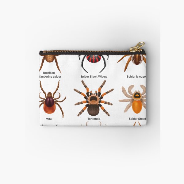 Item preview, Educational Spiders Identification Chart Insects Funny  designed and sold by VISIONSTURME.