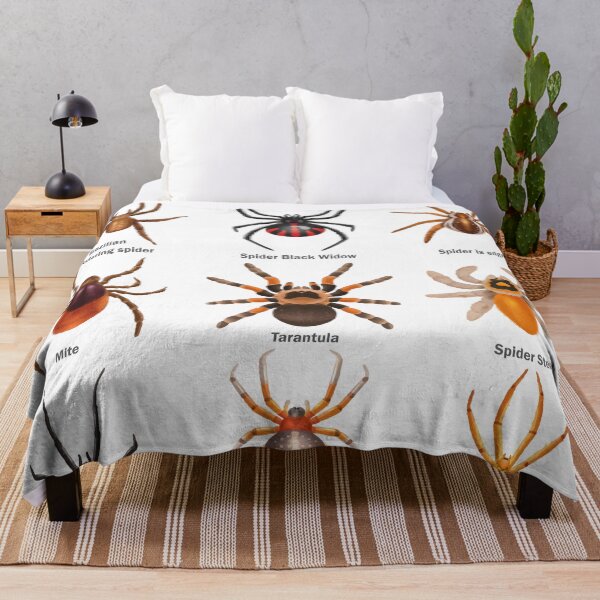 Item preview, Educational Spiders Identification Chart Insects Funny designed and sold by VISIONSTURME.
