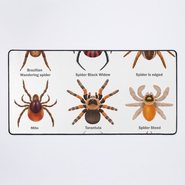 Item preview, Educational Spiders Identification Chart Insects Funny designed and sold by VISIONSTURME.