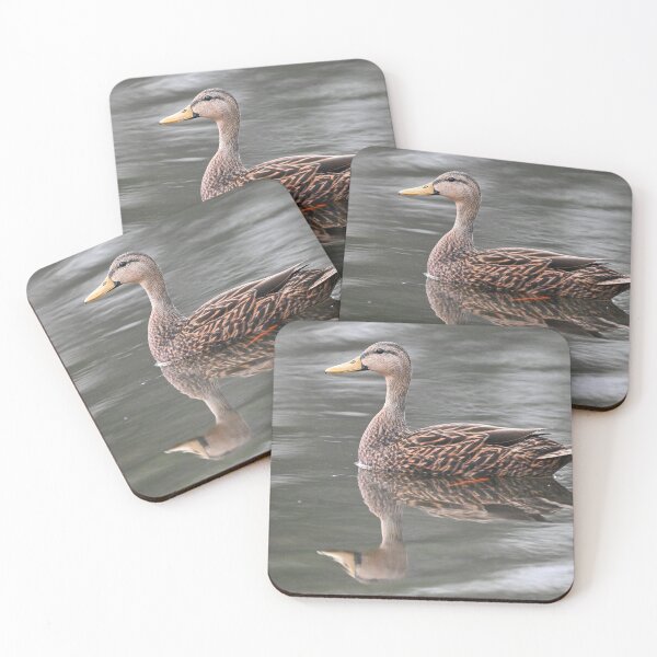 Item preview, Mallard Duck cruising designed and sold by Glennphotos.
