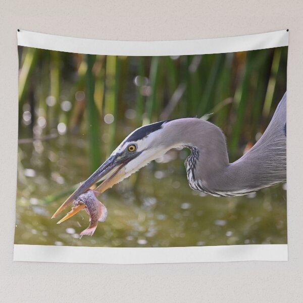 Item preview, Snacks designed and sold by Glennphotos.