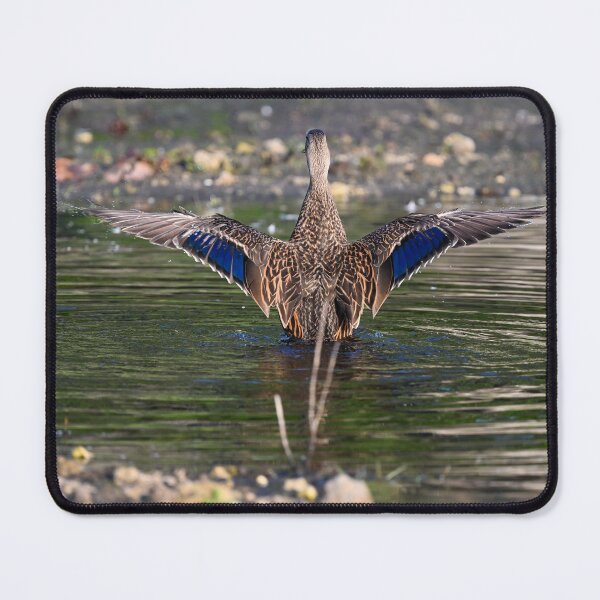Item preview, Ta Daa! designed and sold by Glennphotos.