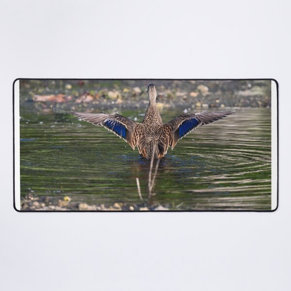 Item preview, Ta Daa! designed and sold by Glennphotos.