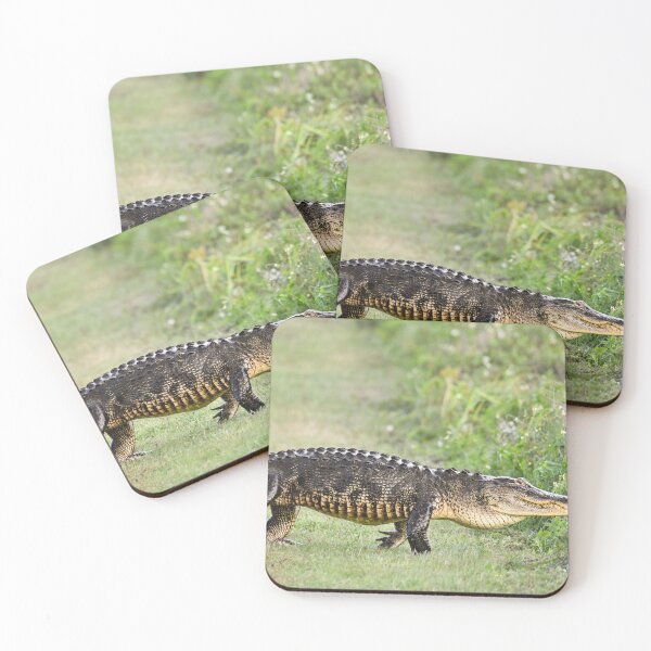 Item preview, Strolling designed and sold by Glennphotos.