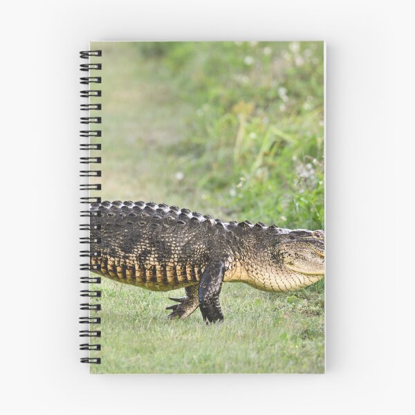 Item preview, Strolling designed and sold by Glennphotos.