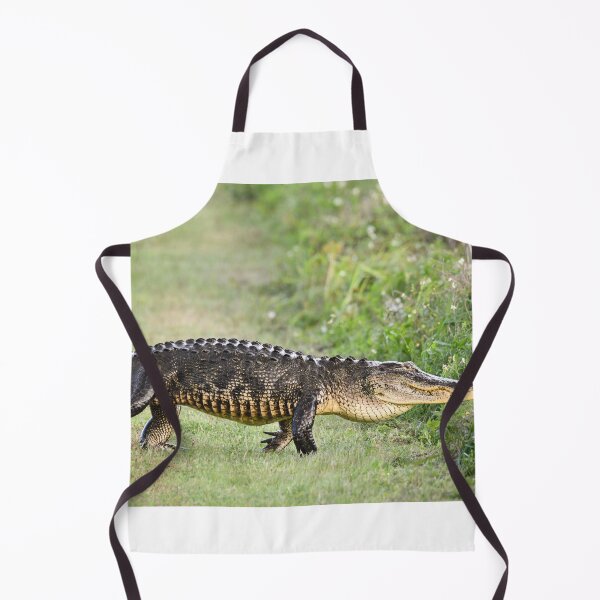 Item preview, Strolling designed and sold by Glennphotos.