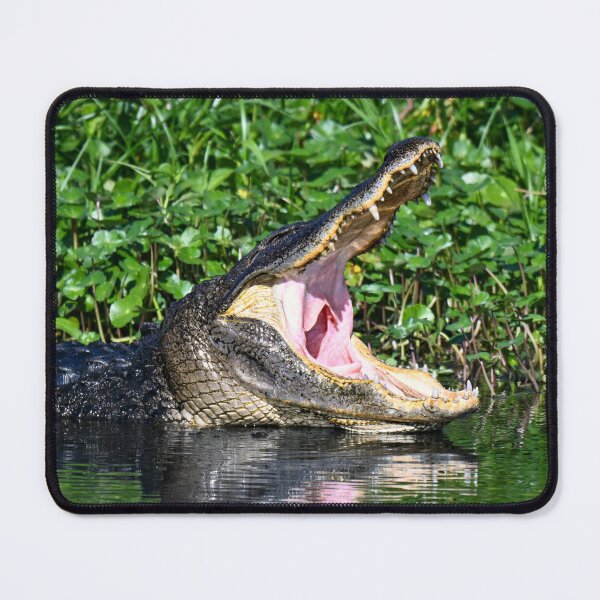 Item preview, My what big teeth you have! designed and sold by Glennphotos.