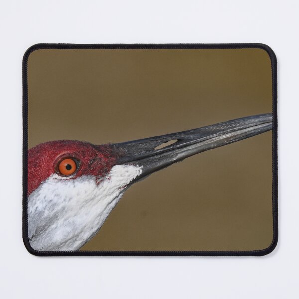 Item preview, Got my eye on you designed and sold by Glennphotos.