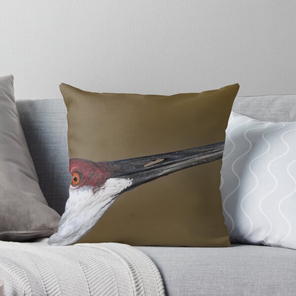 Item preview, Got my eye on you designed and sold by Glennphotos.