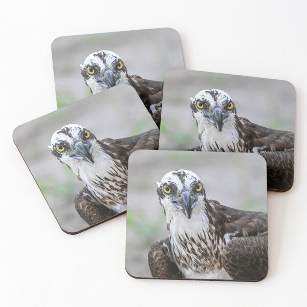 Item preview, The Stare designed and sold by Glennphotos.