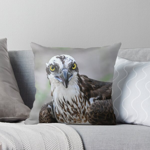 Item preview, The Stare designed and sold by Glennphotos.