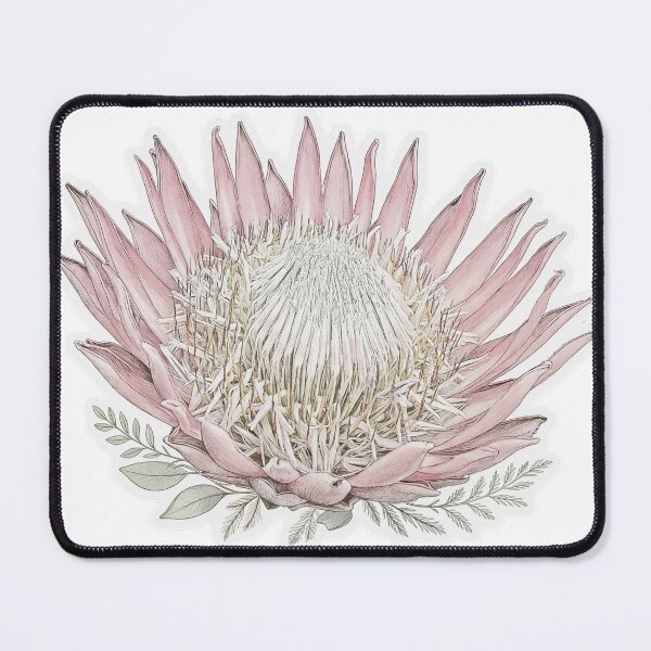 Item preview, Pink Protea Sticker | Single Bloom Die Cut Sticker | Fine Line Botanical Decal | Aesthetic Tropical Flower Sticker designed and sold by FineLineBotanical .