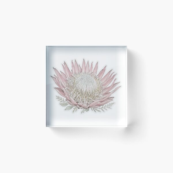 Item preview, Pink Protea Sticker | Single Bloom Die Cut Sticker | Fine Line Botanical Decal | Aesthetic Tropical Flower Sticker designed and sold by FineLineBotanical .