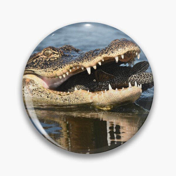 Item preview, Yummy! designed and sold by Glennphotos.