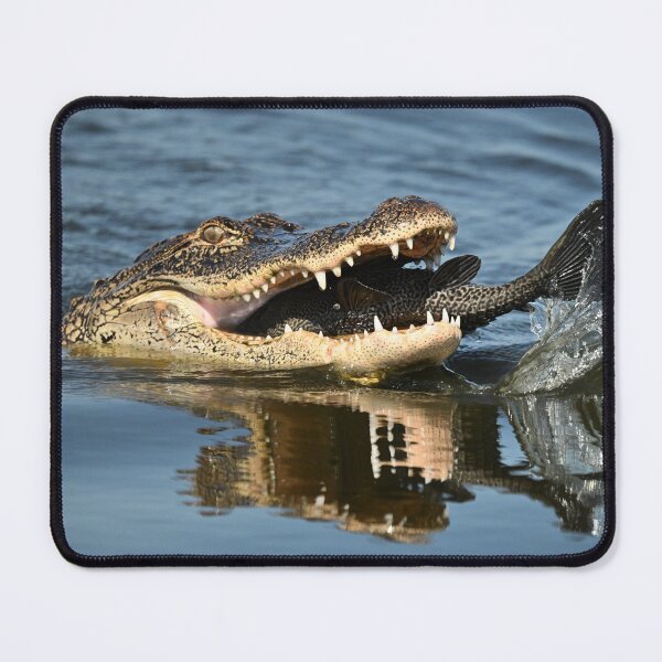 Item preview, Yummy! designed and sold by Glennphotos.