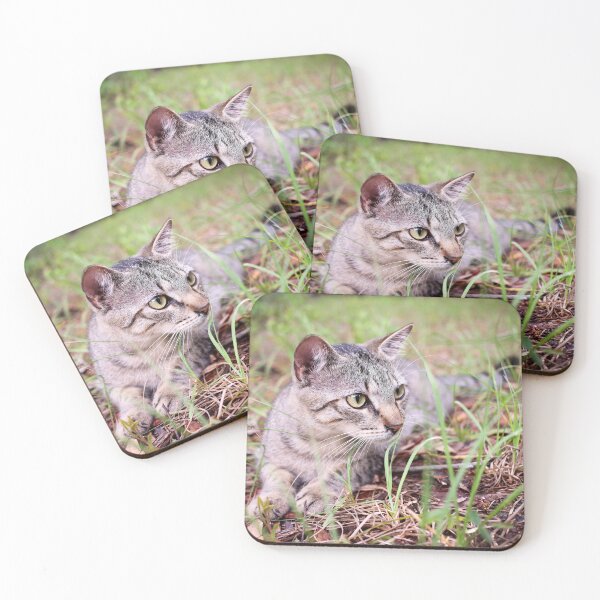 Item preview, Gray Tabby "Tiger" designed and sold by PhotoArtbyGrace.