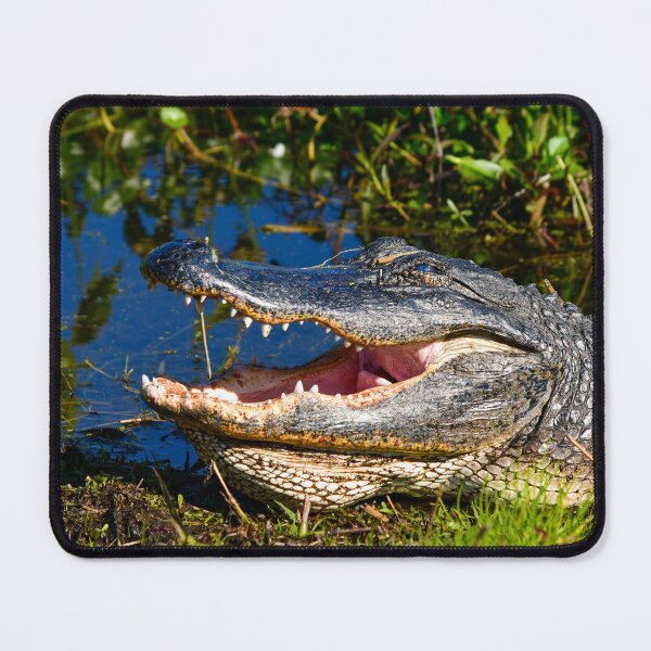 Item preview, Happy guy designed and sold by Glennphotos.