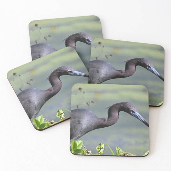 Item preview, Little Blue designed and sold by Glennphotos.