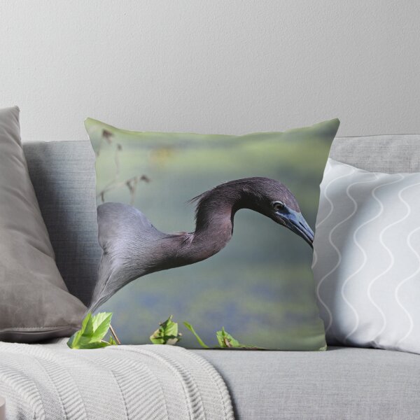 Item preview, Little Blue designed and sold by Glennphotos.