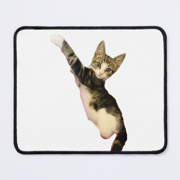 Item preview, Excuse Me, I Am Just A Baby - Cute Cat Sticker designed and sold by MeliMedO Art.