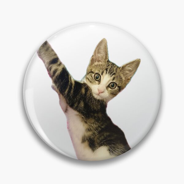 Item preview, Excuse Me, I Am Just A Baby - Cute Cat Sticker designed and sold by MeliMedO Art.