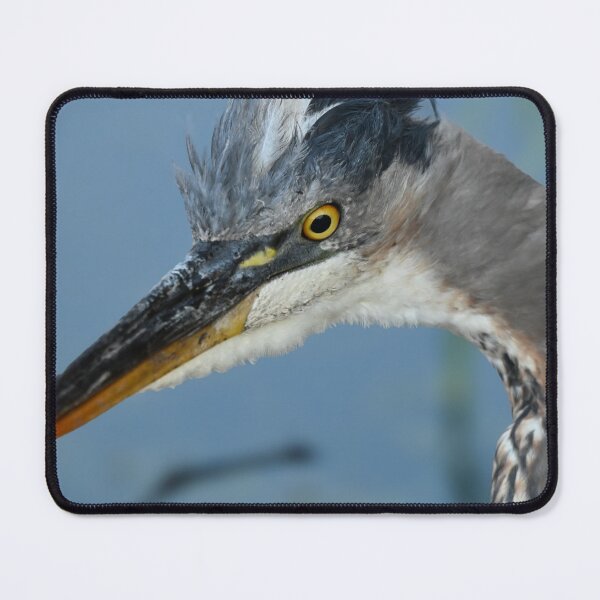 Item preview, Bad hair don't care designed and sold by Glennphotos.