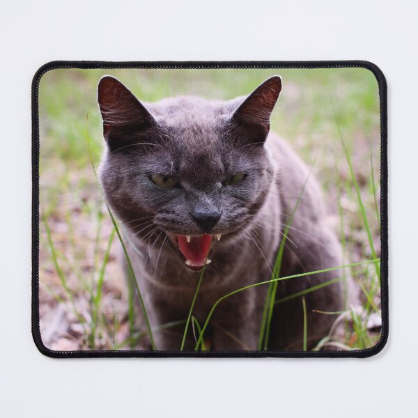 Item preview, Hissing Cat designed and sold by PhotoArtbyGrace.
