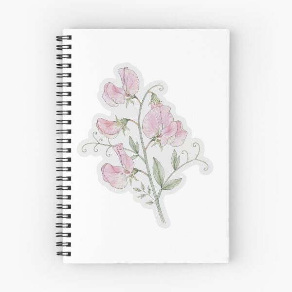 Item preview, Pink Sweet Pea Sticker | Single Bloom Die Cut Sticker | Fine Line Botanical Decal | Aesthetic Floral Laptop Sticker designed and sold by FineLineBotanical .