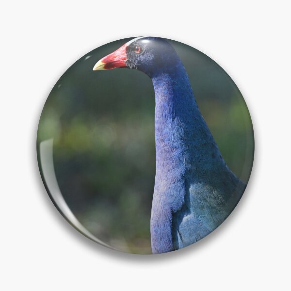 Item preview, Posing designed and sold by Glennphotos.