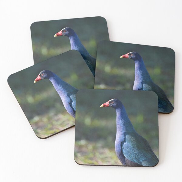 Item preview, Posing designed and sold by Glennphotos.