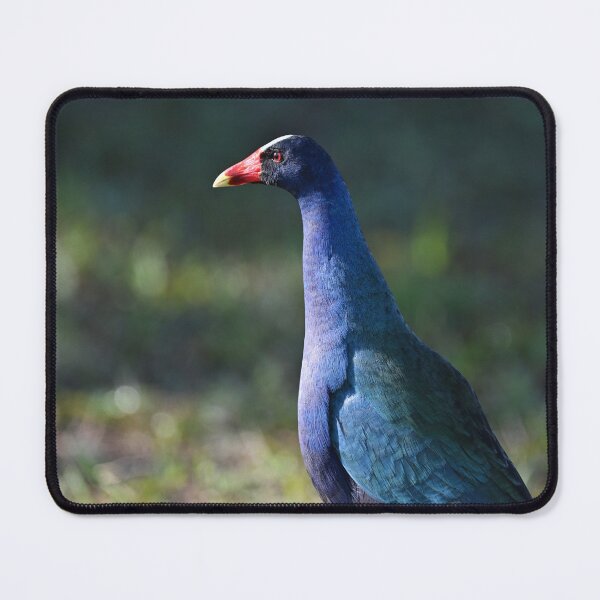 Item preview, Posing designed and sold by Glennphotos.