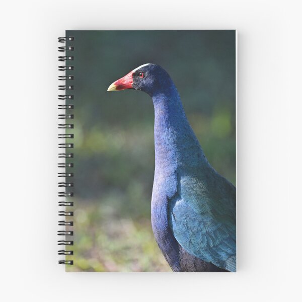 Item preview, Posing designed and sold by Glennphotos.