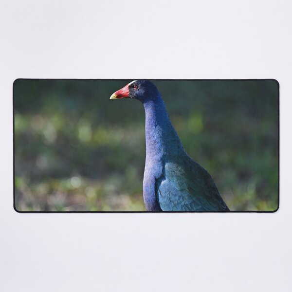Item preview, Posing designed and sold by Glennphotos.