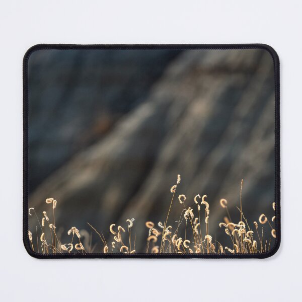 Item preview, Grama highlighted against a badland formation designed and sold by lisavonbiela.