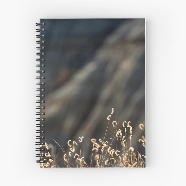 Item preview, Grama highlighted against a badland formation designed and sold by lisavonbiela.