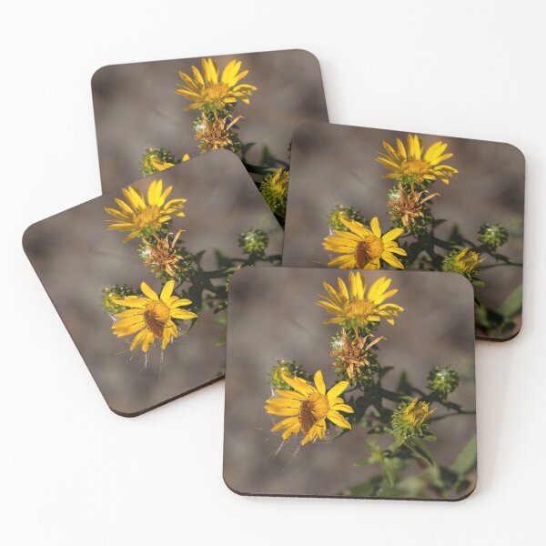 Item preview, Blister Beetle perched on yellow daisy designed and sold by lisavonbiela.