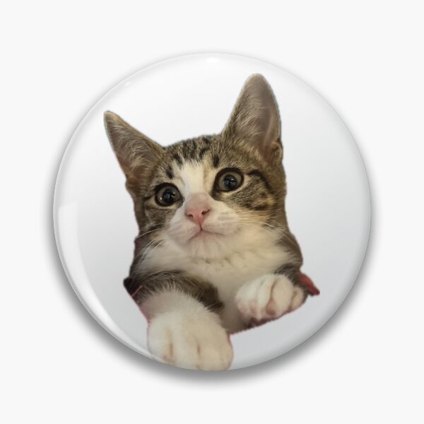 Item preview, Cute Curious Tabby Kitten Peeking - Funny Cat Meme designed and sold by MeliMedO Art.