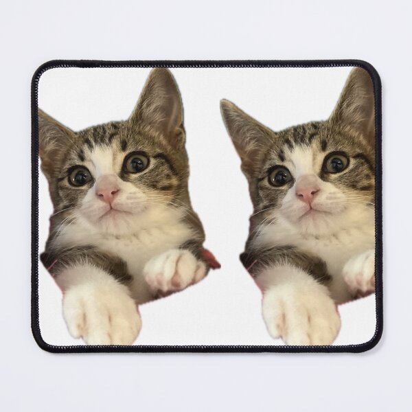 Item preview, Cute Curious Tabby Kitten Peeking - Funny Cat Meme designed and sold by MeliMedO Art.