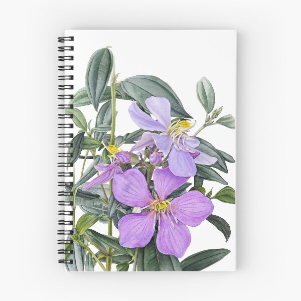 Item preview, Native Tropical Queensland beautiful flower designed and sold by HaidiBeard.