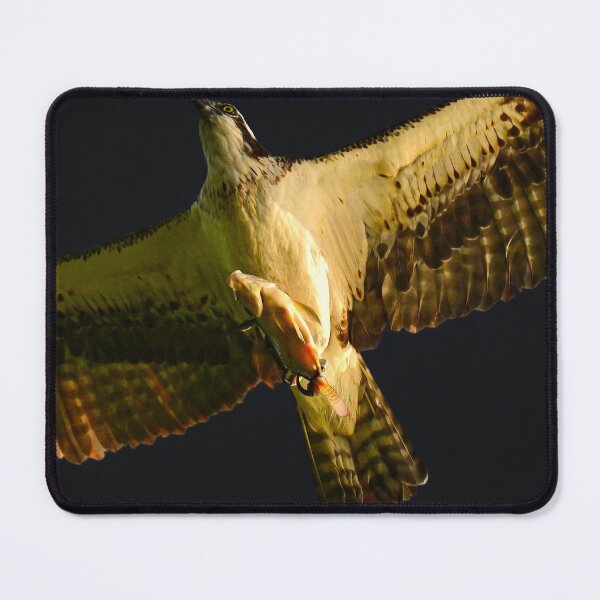 Item preview, Osprey Air designed and sold by Glennphotos.