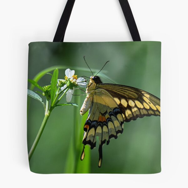 Item preview, Swallowtail designed and sold by Glennphotos.