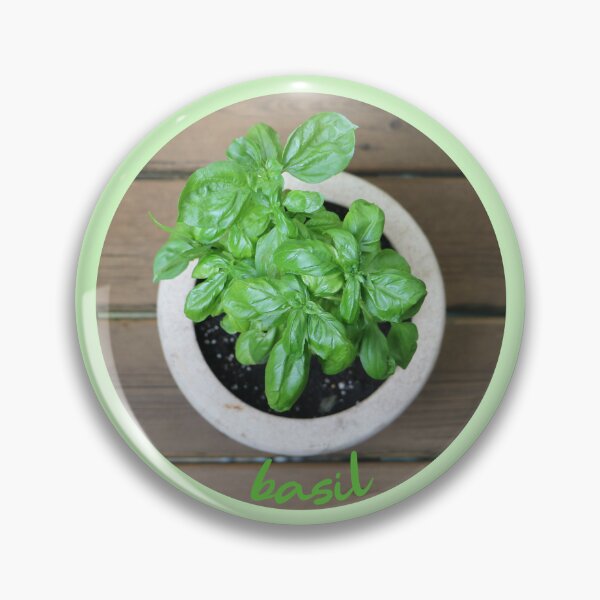 Item preview, basil plant in a pot with wood backround designed and sold by EleniA8.