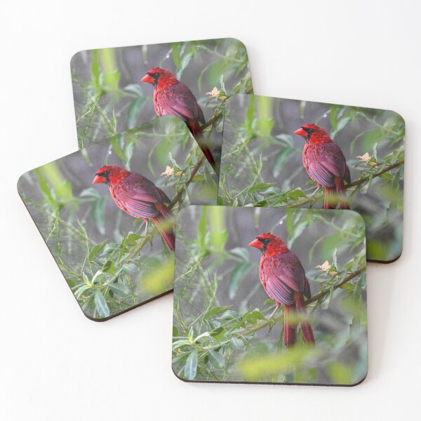 Item preview, I see you designed and sold by Glennphotos.