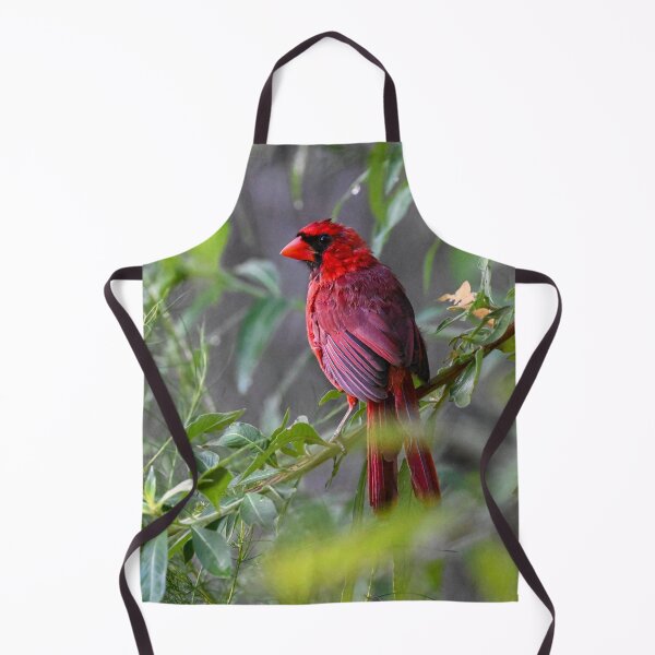 Item preview, I see you designed and sold by Glennphotos.