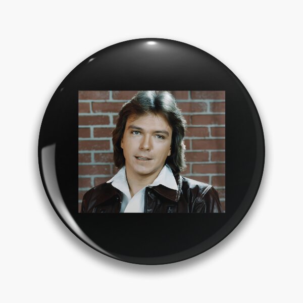 Item preview, Shaun Cassidy Tour 2019 Sir5 designed and sold by showfeesticker.